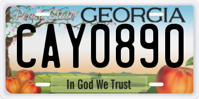 GA license plate CAY0890