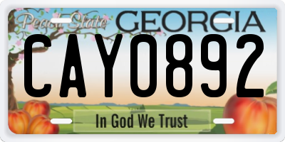 GA license plate CAY0892