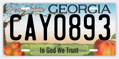 GA license plate CAY0893