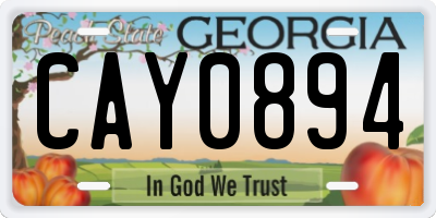 GA license plate CAY0894