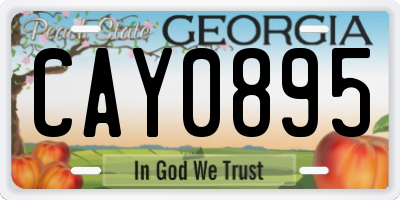 GA license plate CAY0895