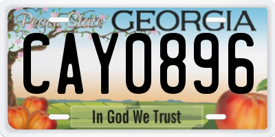 GA license plate CAY0896