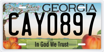 GA license plate CAY0897