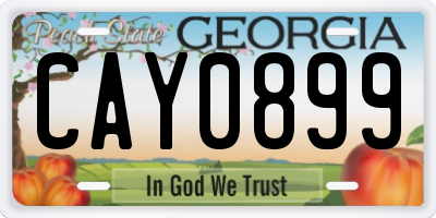 GA license plate CAY0899