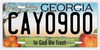 GA license plate CAY0900