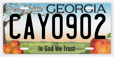 GA license plate CAY0902