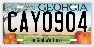 GA license plate CAY0904