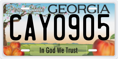 GA license plate CAY0905