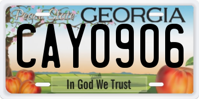 GA license plate CAY0906