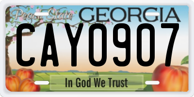 GA license plate CAY0907