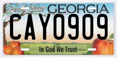 GA license plate CAY0909