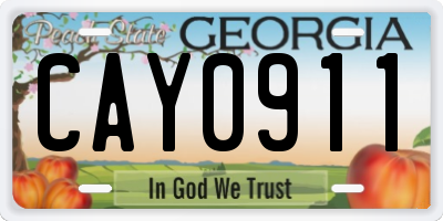 GA license plate CAY0911
