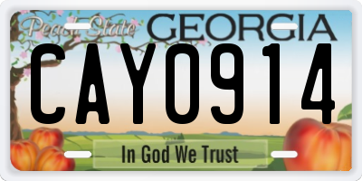 GA license plate CAY0914