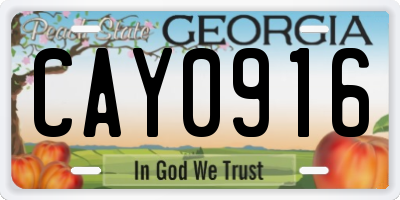 GA license plate CAY0916