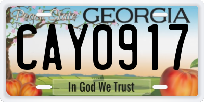 GA license plate CAY0917