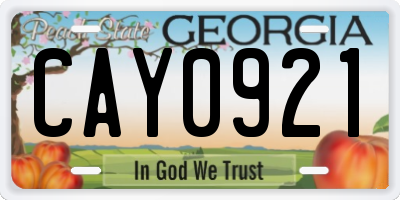 GA license plate CAY0921