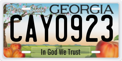 GA license plate CAY0923
