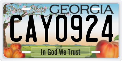 GA license plate CAY0924