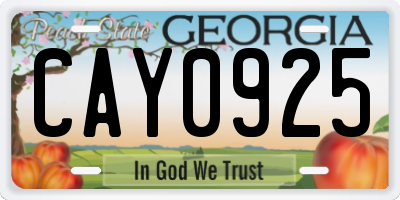 GA license plate CAY0925