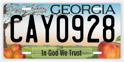 GA license plate CAY0928