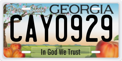 GA license plate CAY0929