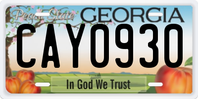 GA license plate CAY0930