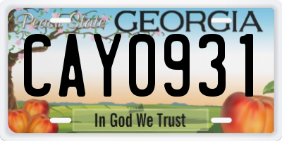 GA license plate CAY0931