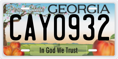 GA license plate CAY0932