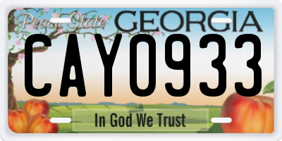 GA license plate CAY0933
