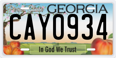 GA license plate CAY0934