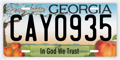 GA license plate CAY0935
