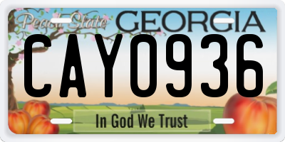 GA license plate CAY0936