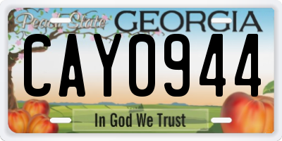 GA license plate CAY0944
