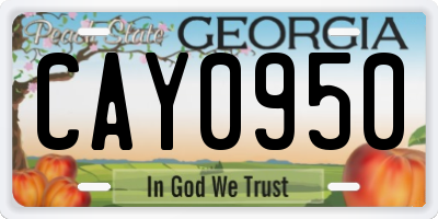 GA license plate CAY0950