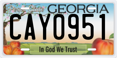 GA license plate CAY0951