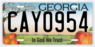 GA license plate CAY0954