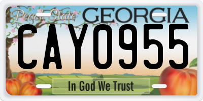 GA license plate CAY0955