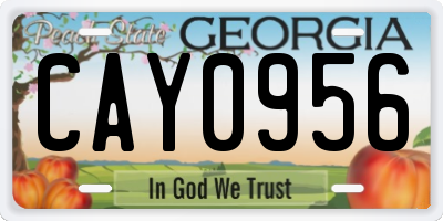 GA license plate CAY0956