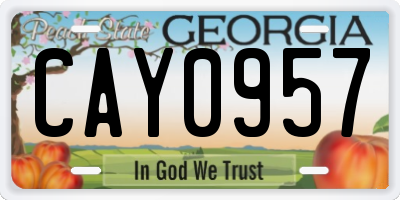 GA license plate CAY0957