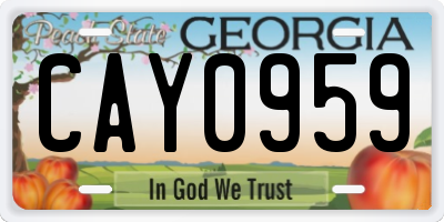 GA license plate CAY0959