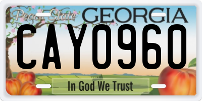 GA license plate CAY0960