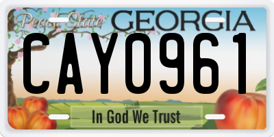 GA license plate CAY0961