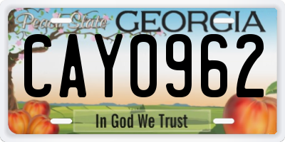 GA license plate CAY0962