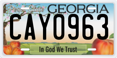 GA license plate CAY0963