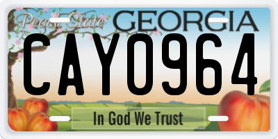 GA license plate CAY0964