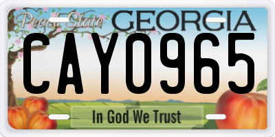 GA license plate CAY0965