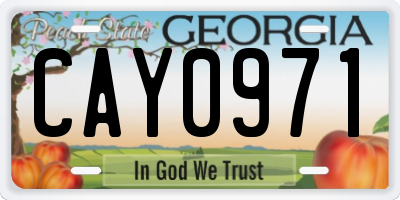 GA license plate CAY0971