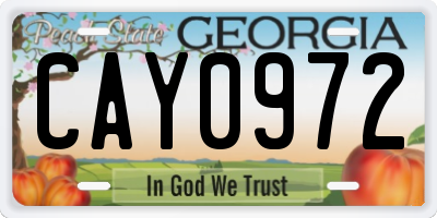 GA license plate CAY0972