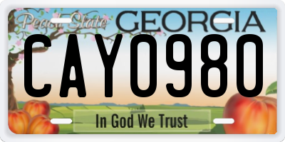 GA license plate CAY0980