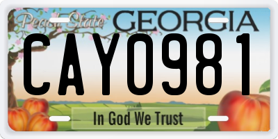 GA license plate CAY0981